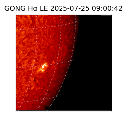 gong - 2025-07-25T09:00:42