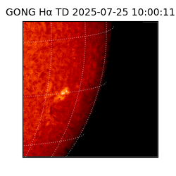 gong - 2025-07-25T10:00:11