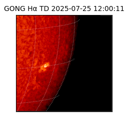 gong - 2025-07-25T12:00:11