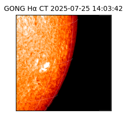 gong - 2025-07-25T14:03:42