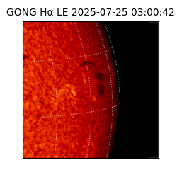 gong - 2025-07-25T03:00:42