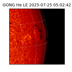gong - 2025-07-25T05:02:42