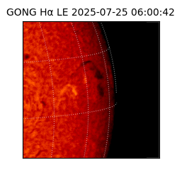gong - 2025-07-25T06:00:42