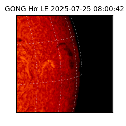 gong - 2025-07-25T08:00:42