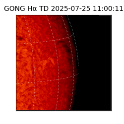 gong - 2025-07-25T11:00:11