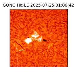 gong - 2025-07-25T01:00:42