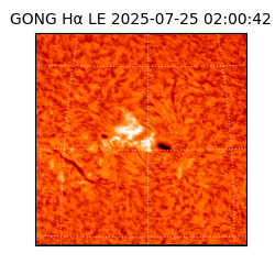 gong - 2025-07-25T02:00:42