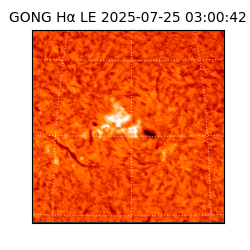 gong - 2025-07-25T03:00:42