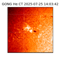 gong - 2025-07-25T14:03:42