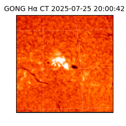 gong - 2025-07-25T20:00:42