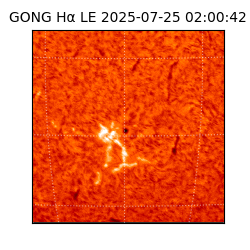 gong - 2025-07-25T02:00:42