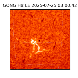 gong - 2025-07-25T03:00:42