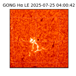gong - 2025-07-25T04:00:42