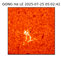 gong - 2025-07-25T05:02:42