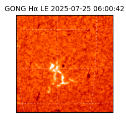 gong - 2025-07-25T06:00:42