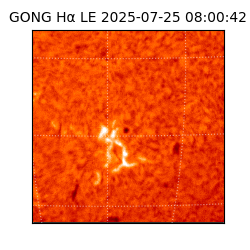 gong - 2025-07-25T08:00:42