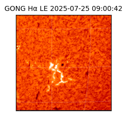 gong - 2025-07-25T09:00:42