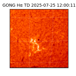 gong - 2025-07-25T12:00:11