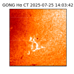 gong - 2025-07-25T14:03:42
