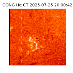 gong - 2025-07-25T20:00:42