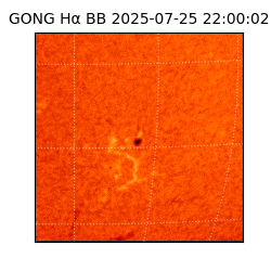 gong - 2025-07-25T22:00:02