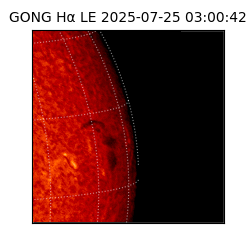 gong - 2025-07-25T03:00:42