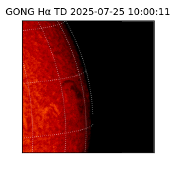 gong - 2025-07-25T10:00:11