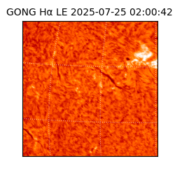 gong - 2025-07-25T02:00:42