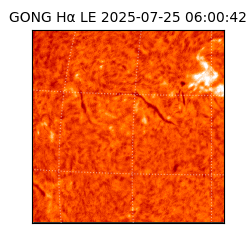 gong - 2025-07-25T06:00:42