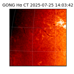 gong - 2025-07-25T14:03:42