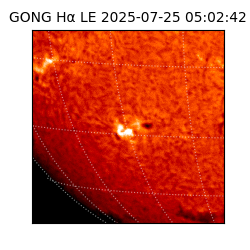 gong - 2025-07-25T05:02:42