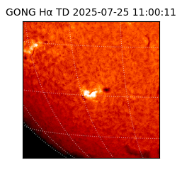 gong - 2025-07-25T11:00:11