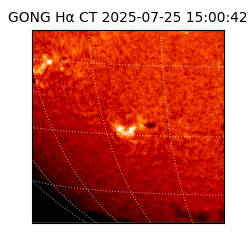 gong - 2025-07-25T15:00:42