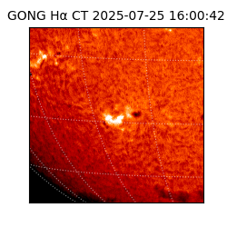 gong - 2025-07-25T16:00:42