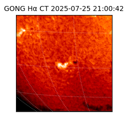 gong - 2025-07-25T21:00:42
