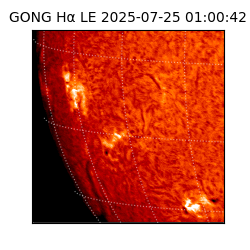 gong - 2025-07-25T01:00:42