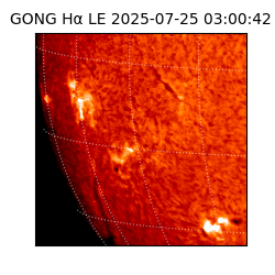 gong - 2025-07-25T03:00:42