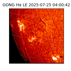 gong - 2025-07-25T04:00:42