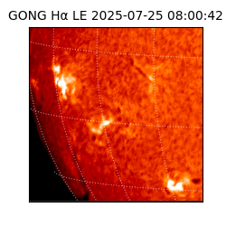 gong - 2025-07-25T08:00:42