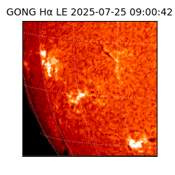 gong - 2025-07-25T09:00:42
