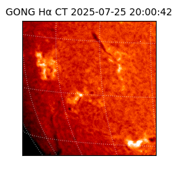 gong - 2025-07-25T20:00:42
