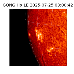 gong - 2025-07-25T03:00:42