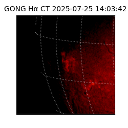 gong - 2025-07-25T14:03:42