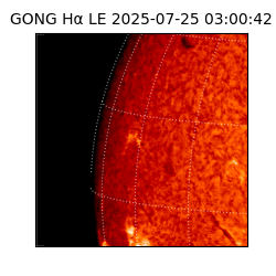 gong - 2025-07-25T03:00:42