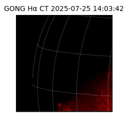 gong - 2025-07-25T14:03:42