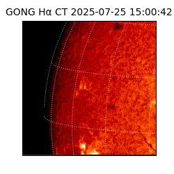 gong - 2025-07-25T15:00:42
