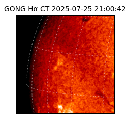 gong - 2025-07-25T21:00:42