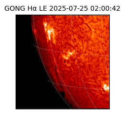 gong - 2025-07-25T02:00:42
