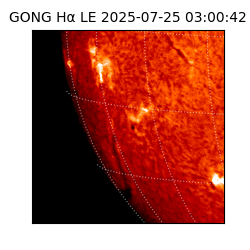 gong - 2025-07-25T03:00:42