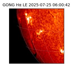 gong - 2025-07-25T06:00:42